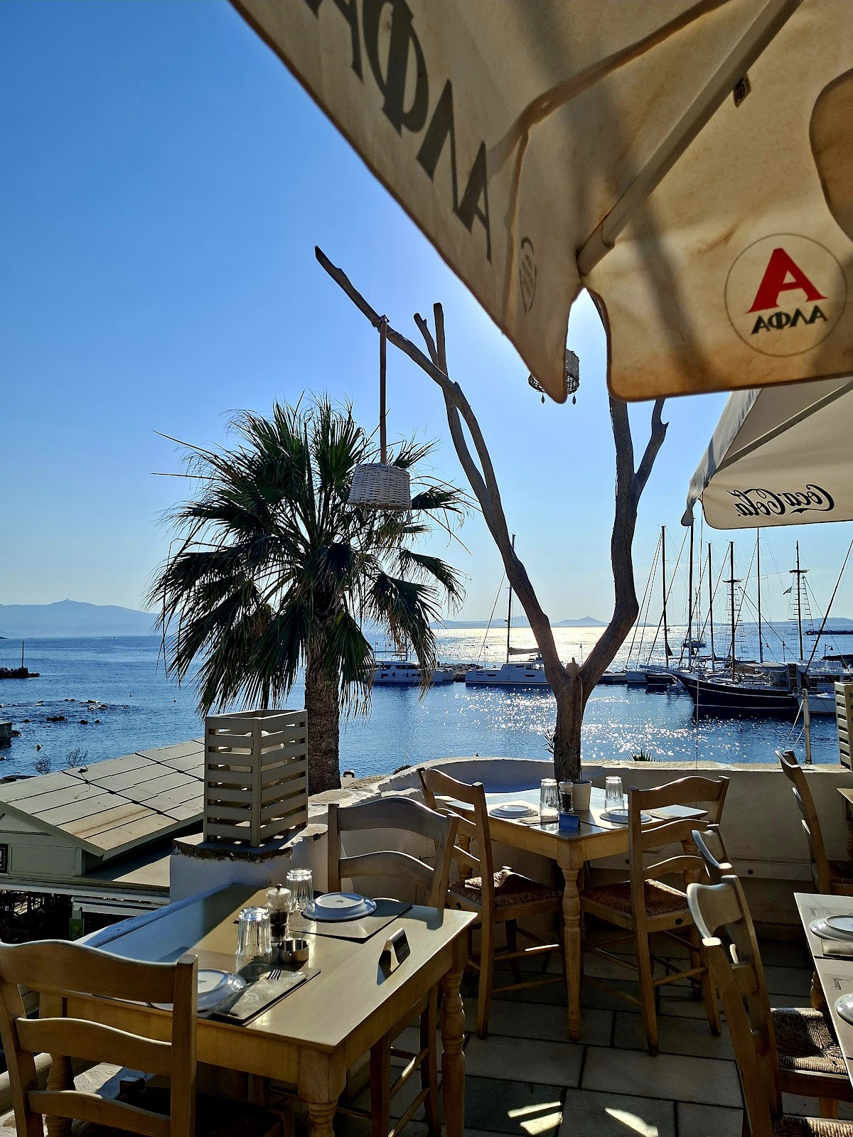 Taverna Naxos