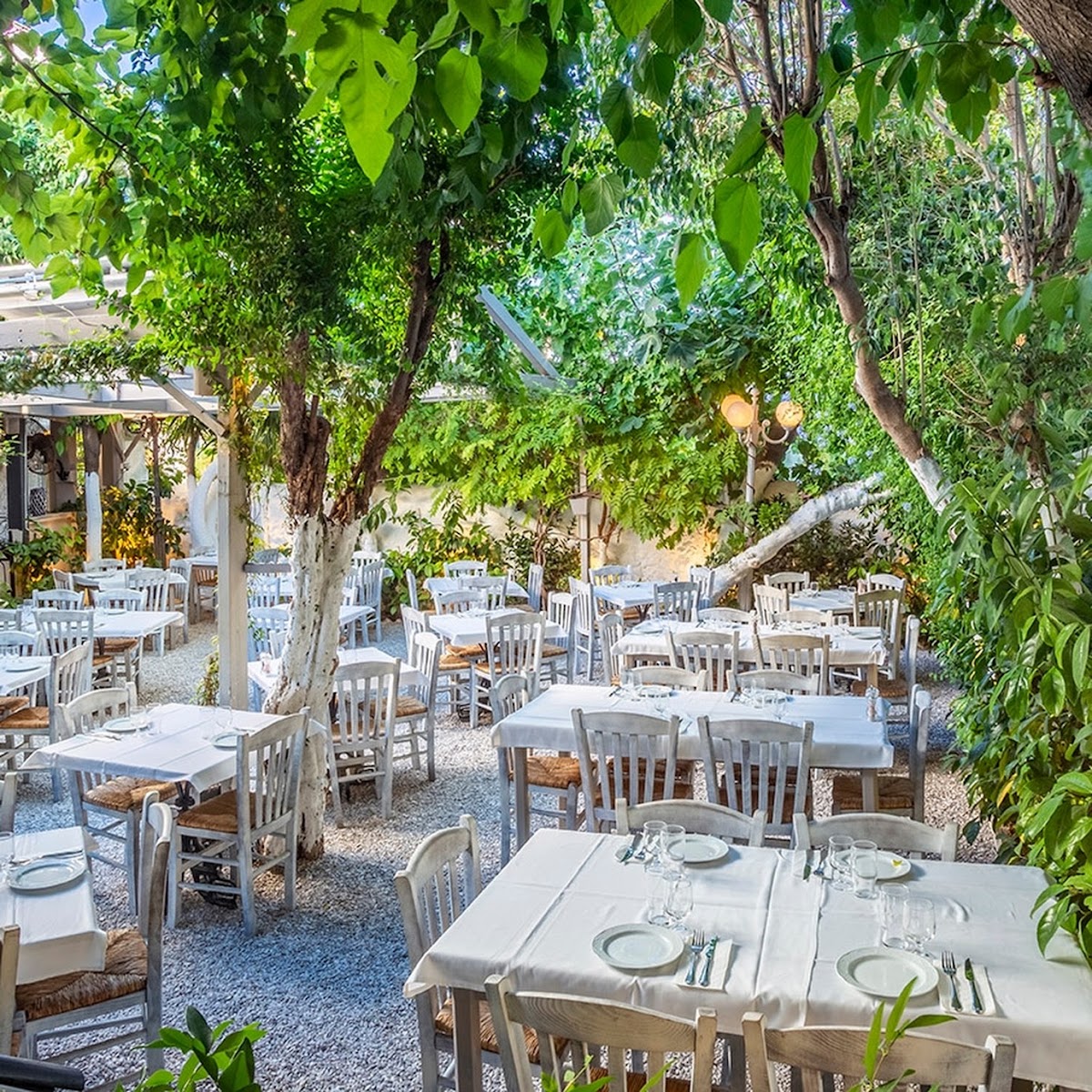 Kouvelos & Garden