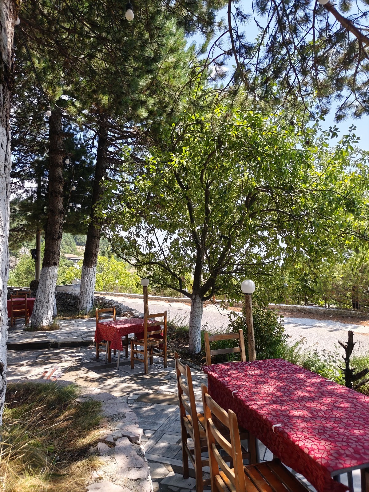 Restaurant Apollonia , llogora