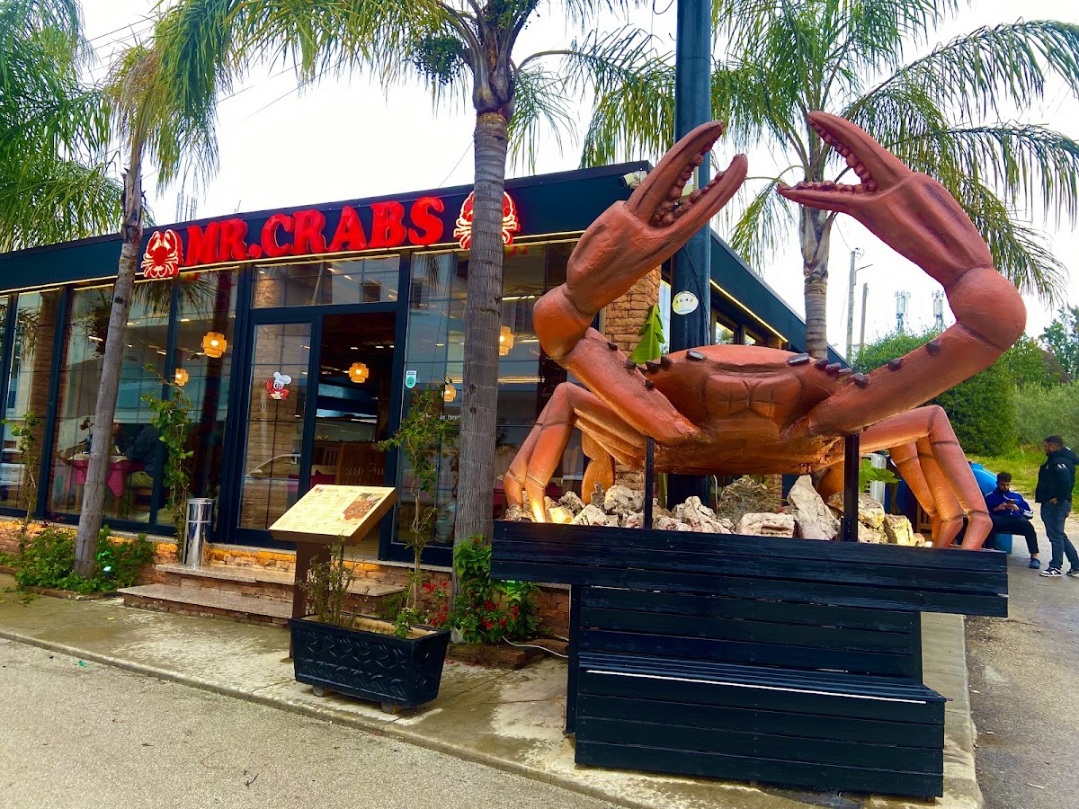 Mr.Crabs