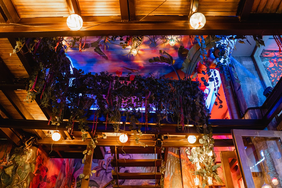 Gypsy Jungle