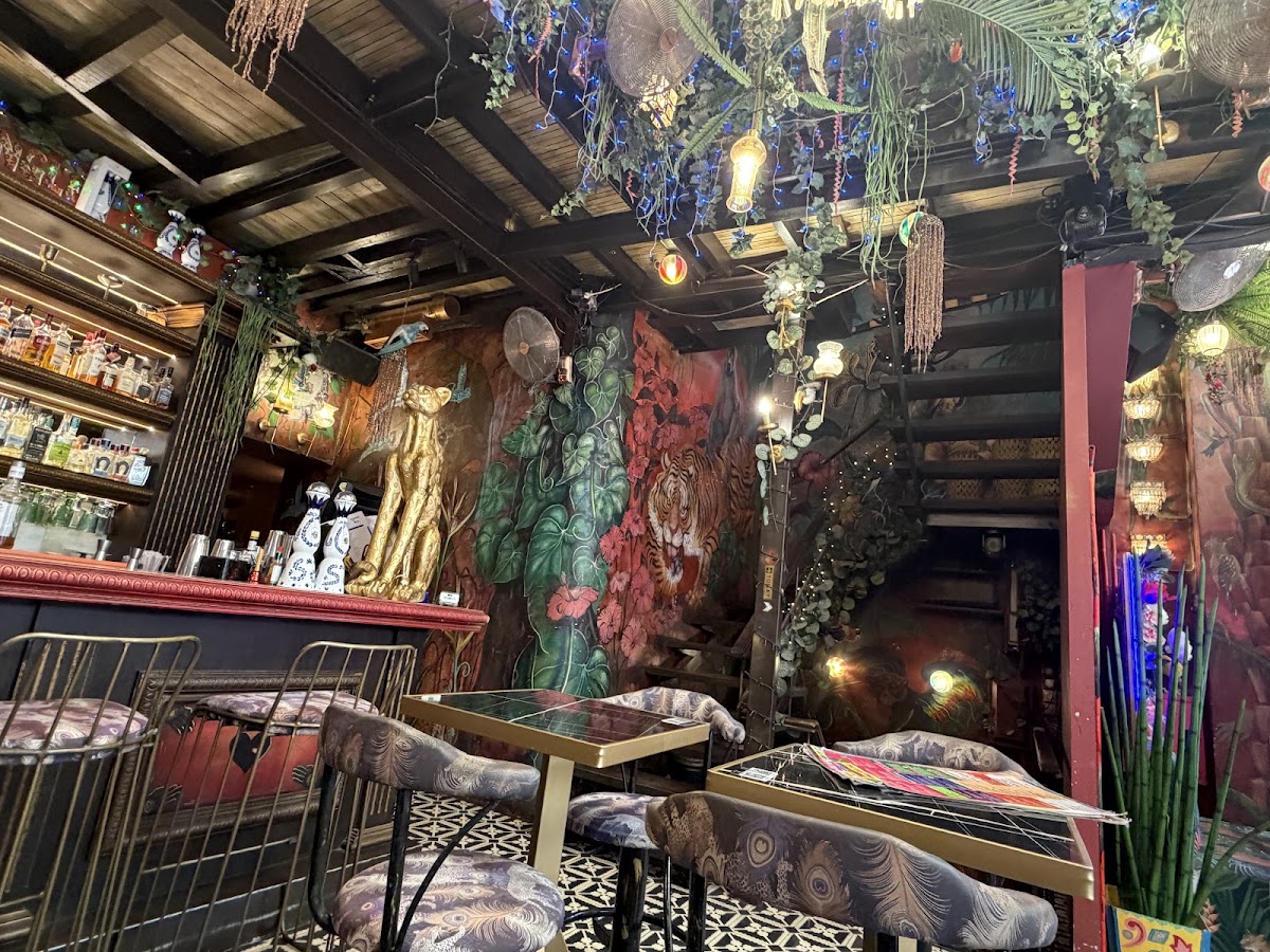 Gypsy Jungle