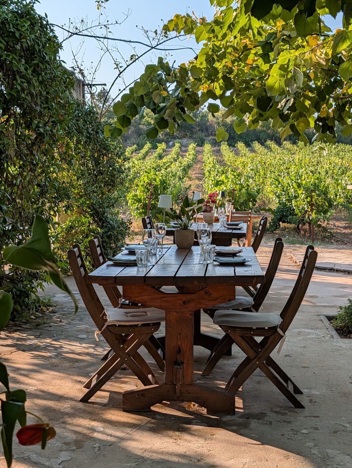 Ambelonas Corfu/Vineyard & restaurant