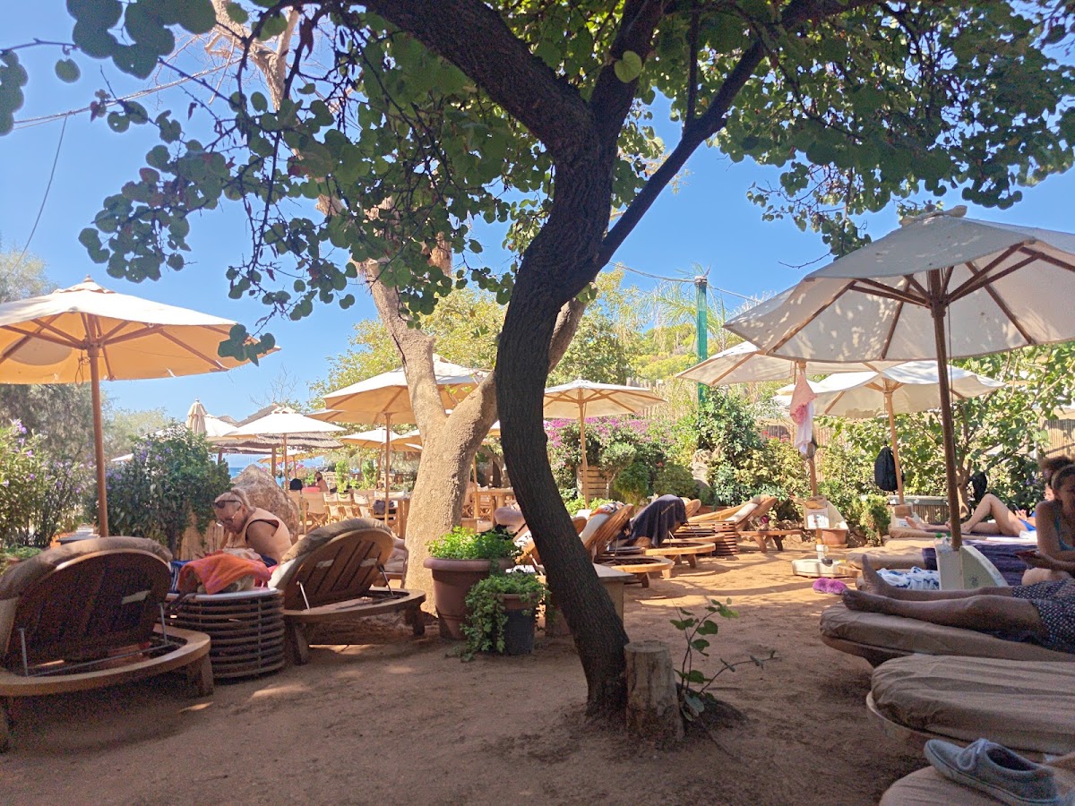 Zen Beach