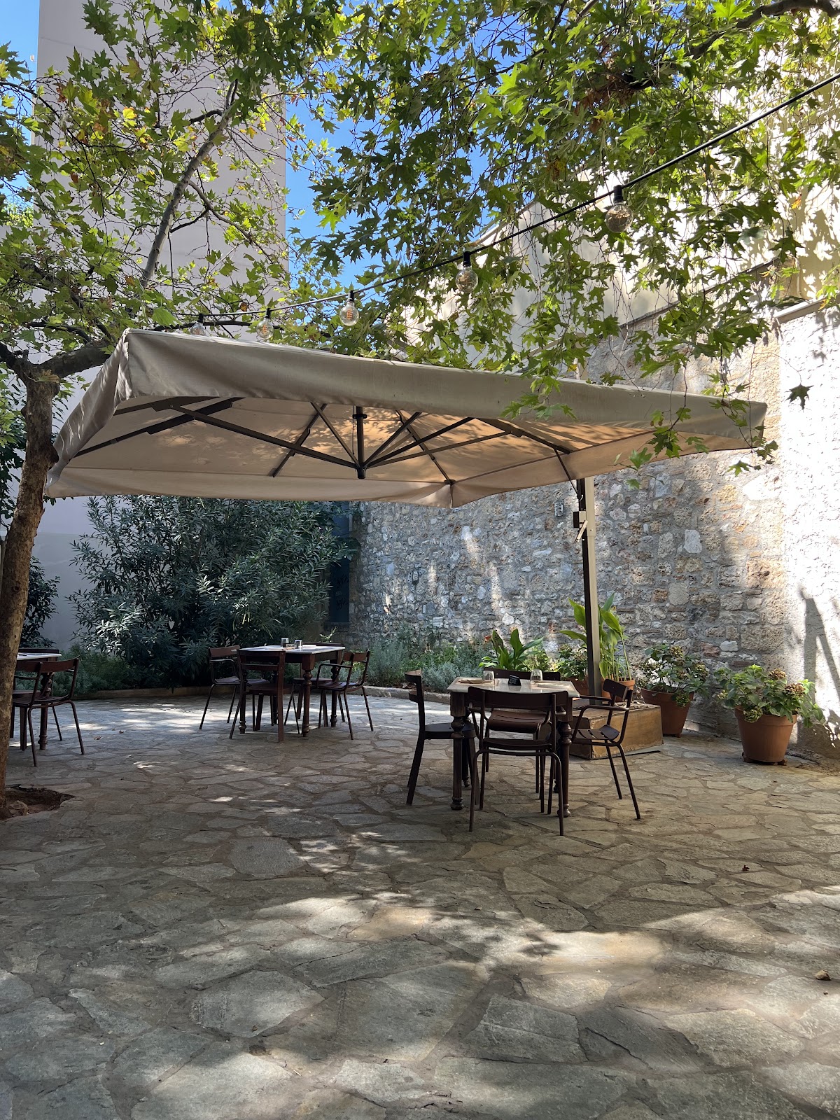 Aerides Plaka Restaurant