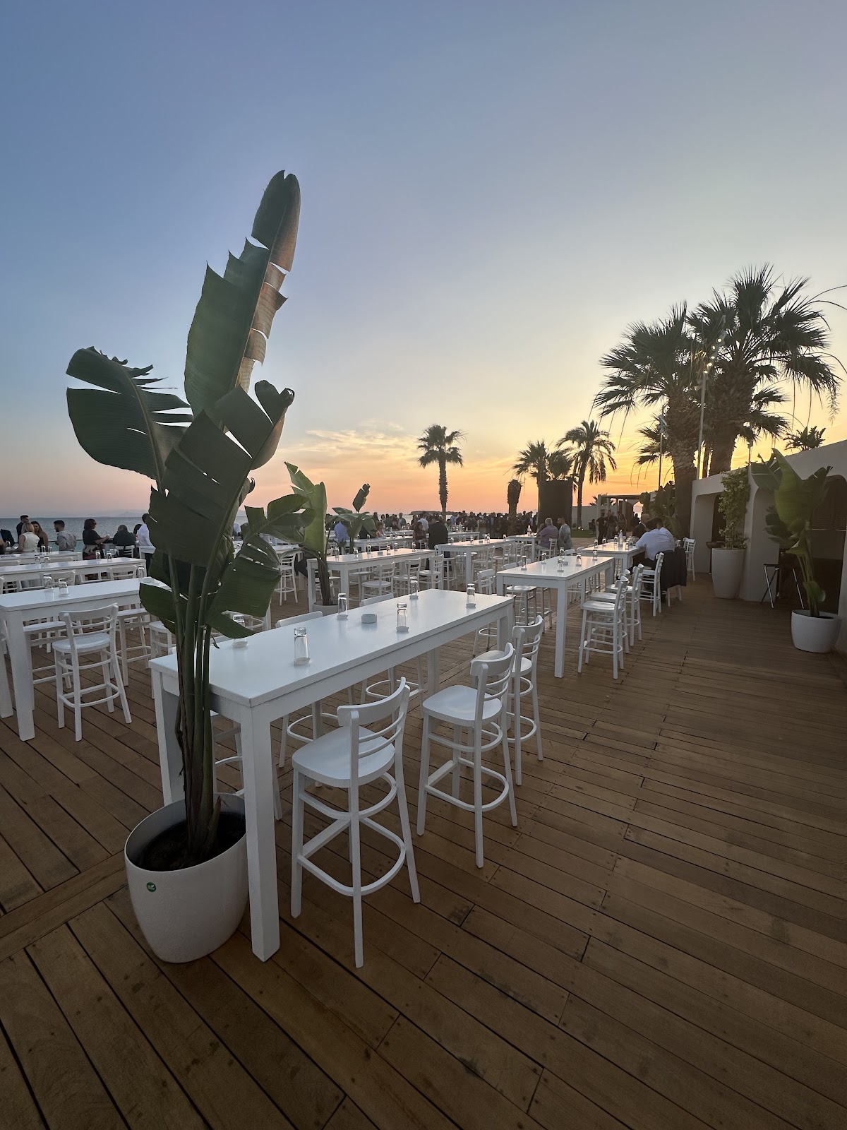 Riviera Coast Events