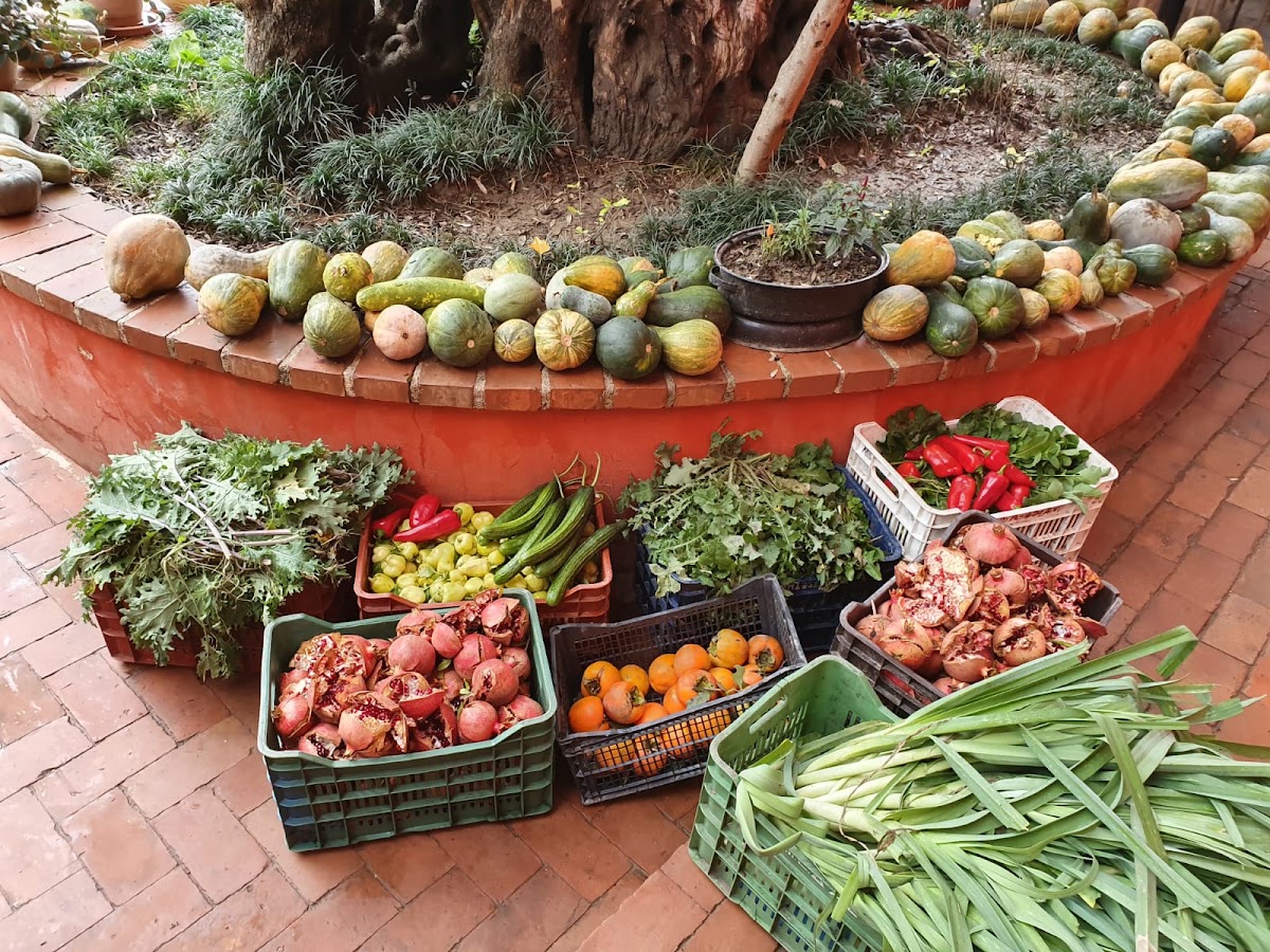 Uka Farm - Traditional Albanian Restaurant & Agrotourism