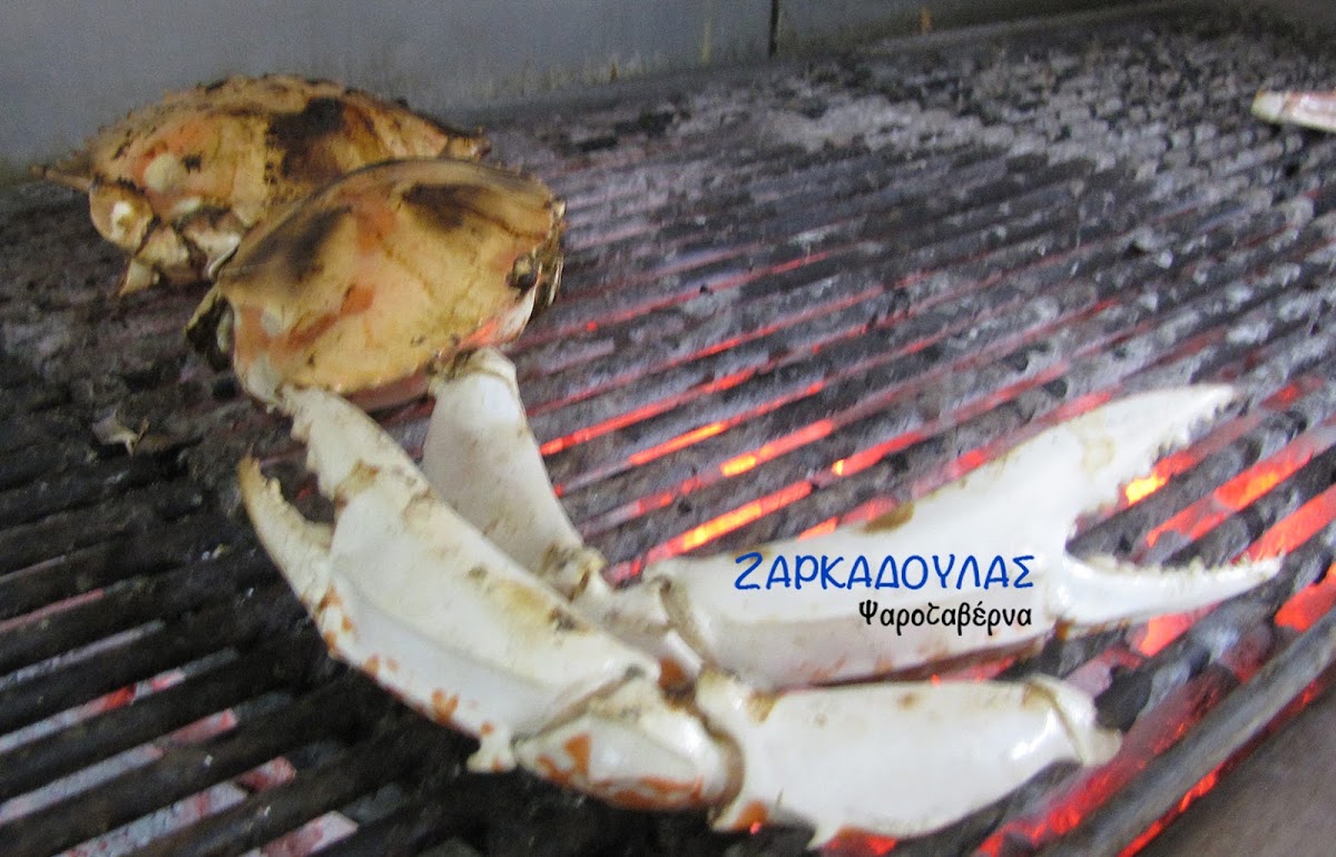 Zarkadoulas
