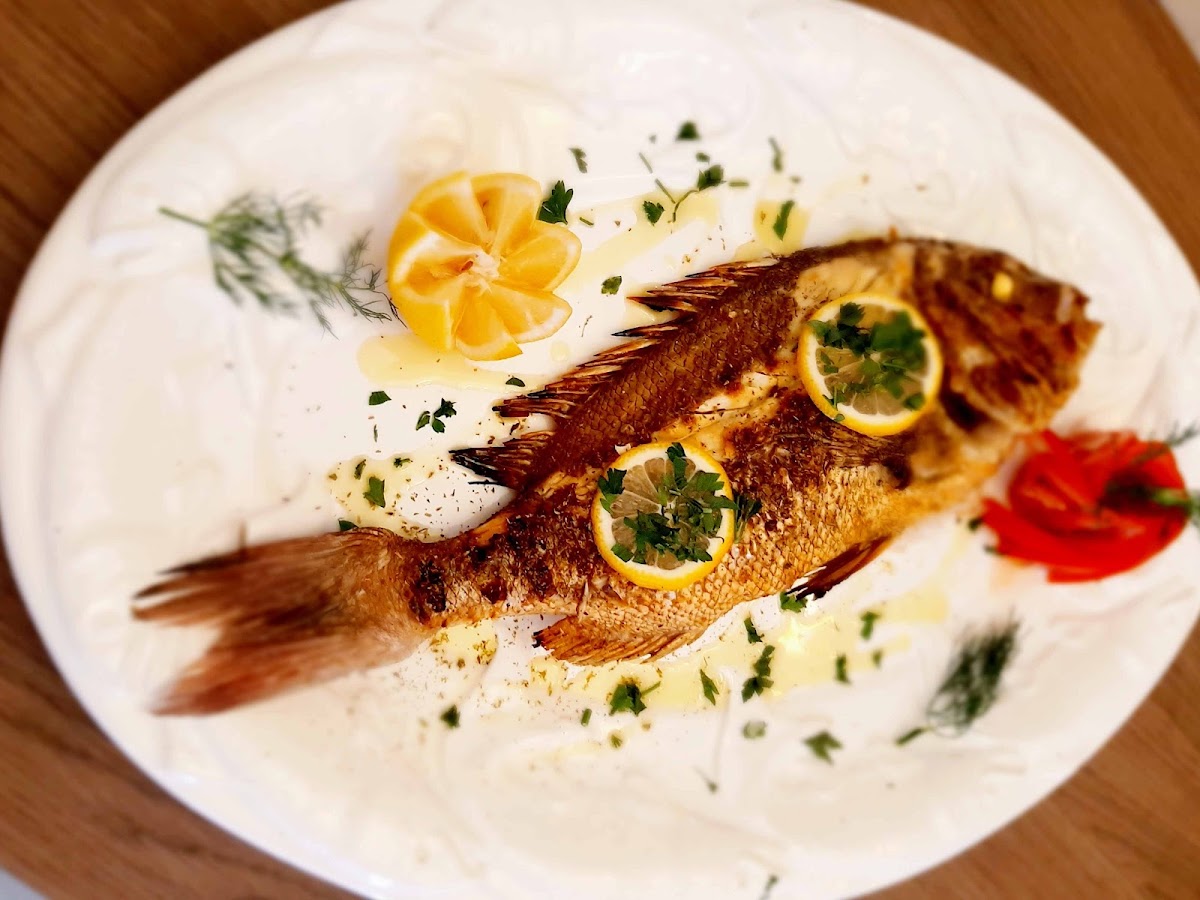 Molos Seaside Restaurant Nea Roda
