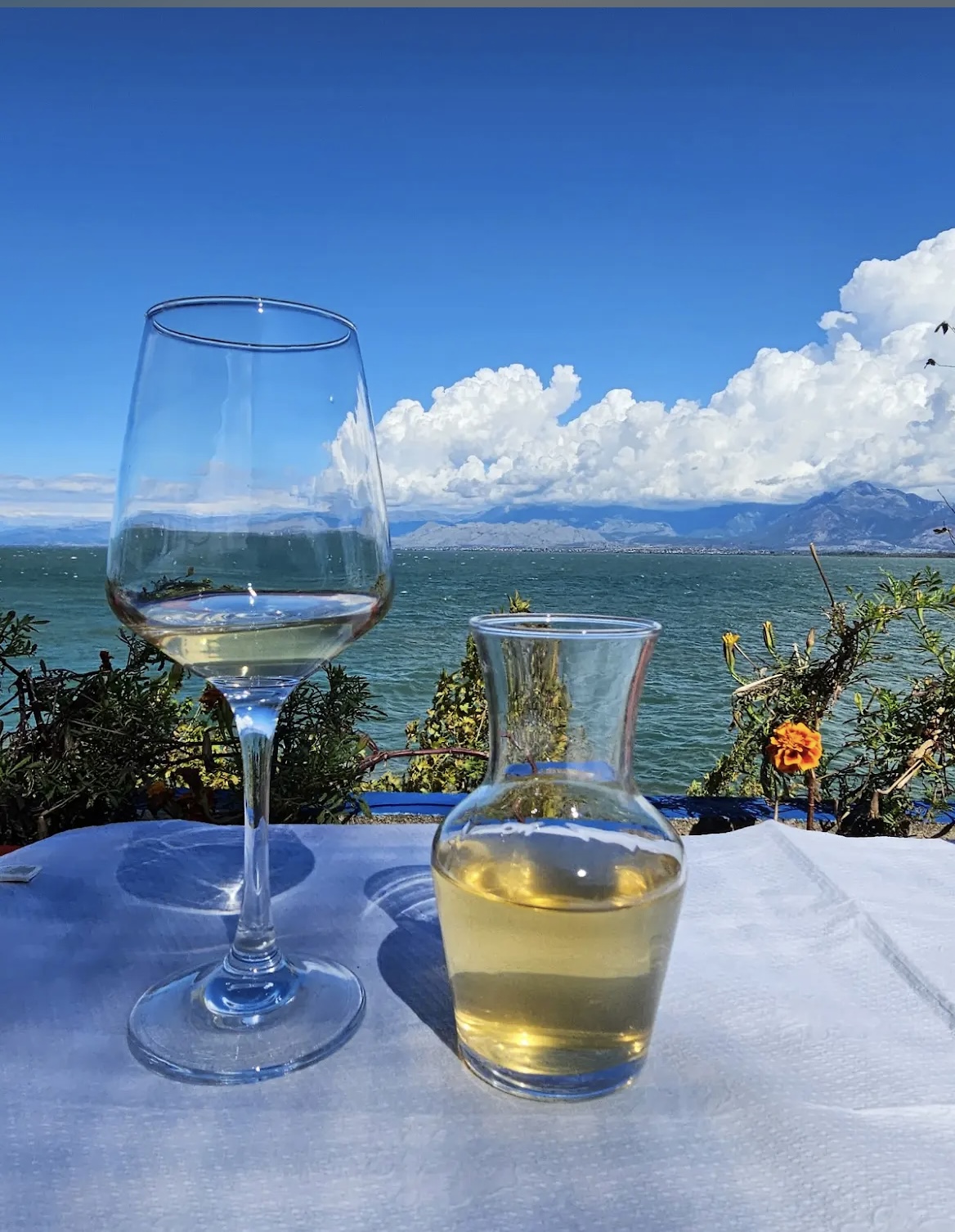 Taverna Shkodrane