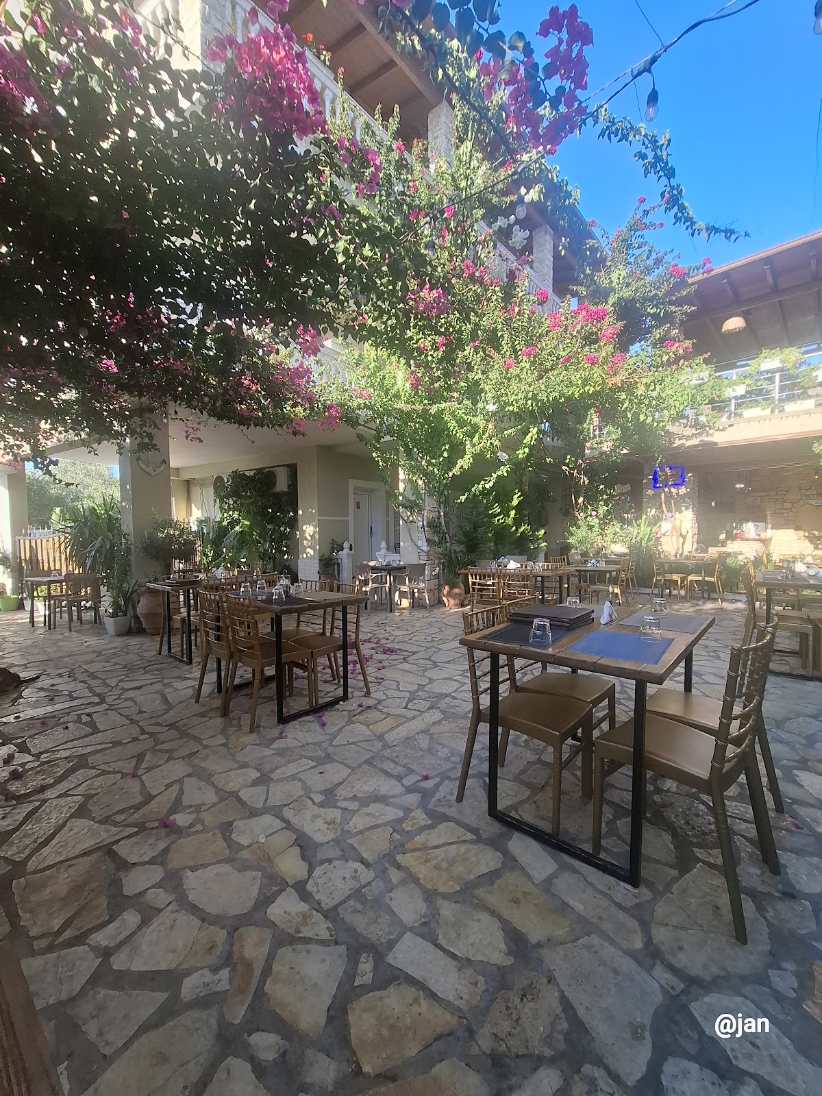 Taverna Arial