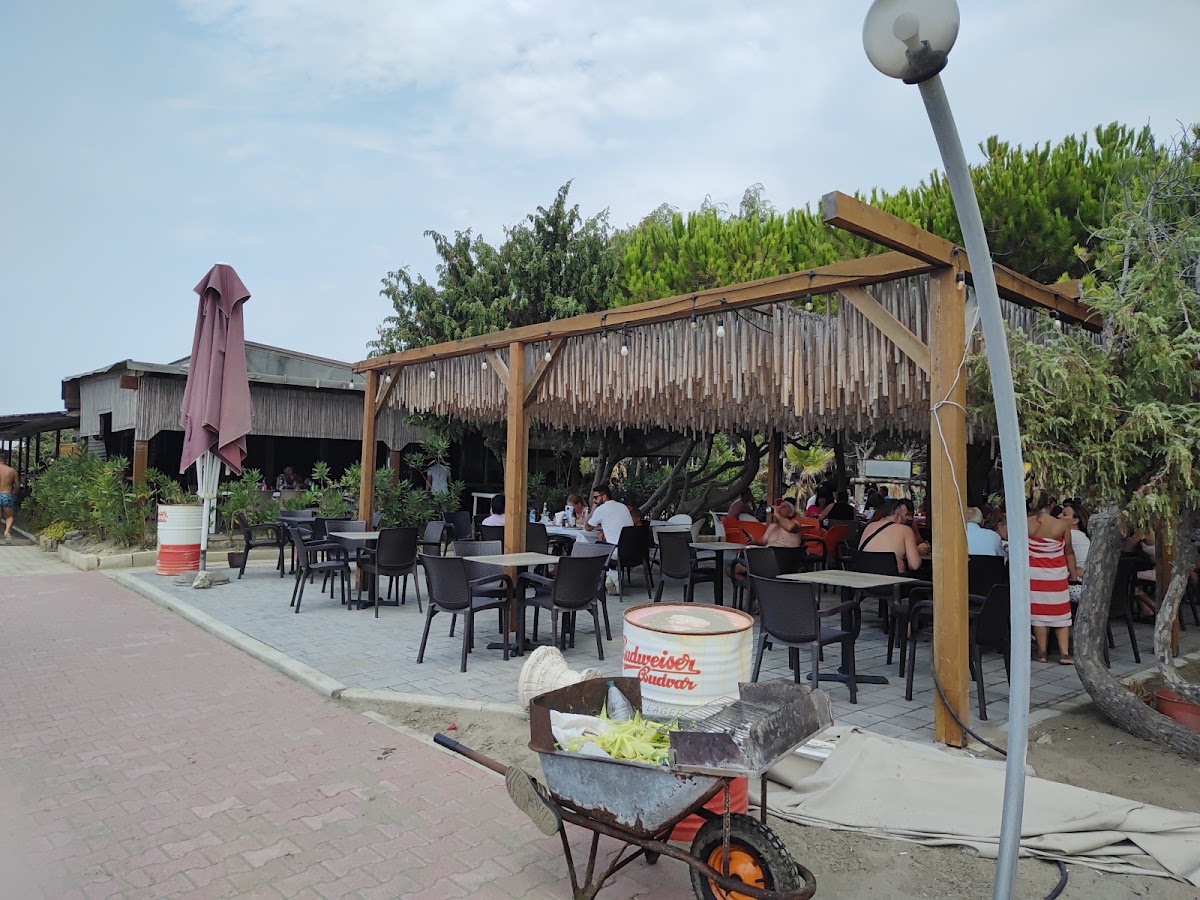 Gusto Di Mare Spille