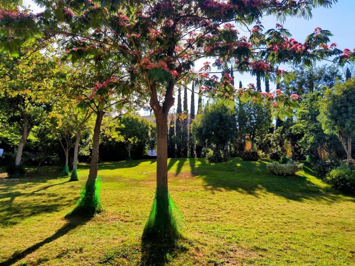 Athens Concert Hall Garden