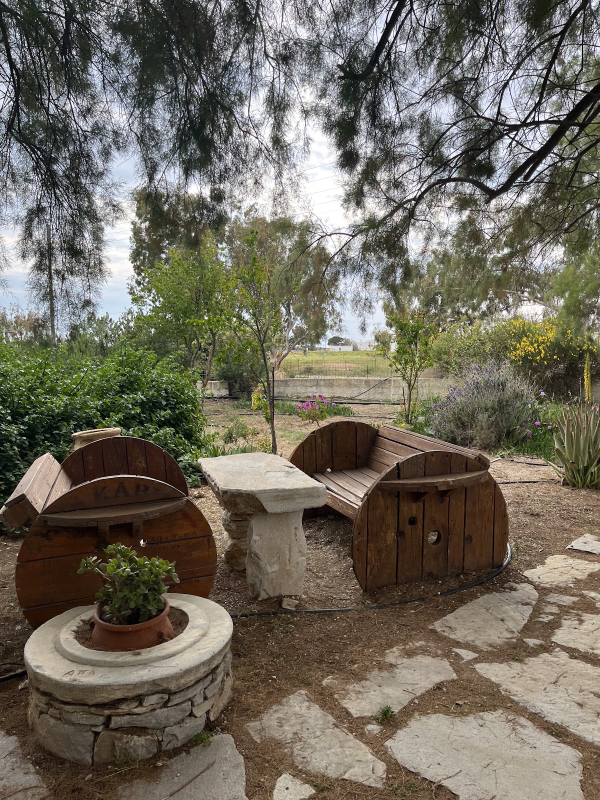 Taverna Axiotissa