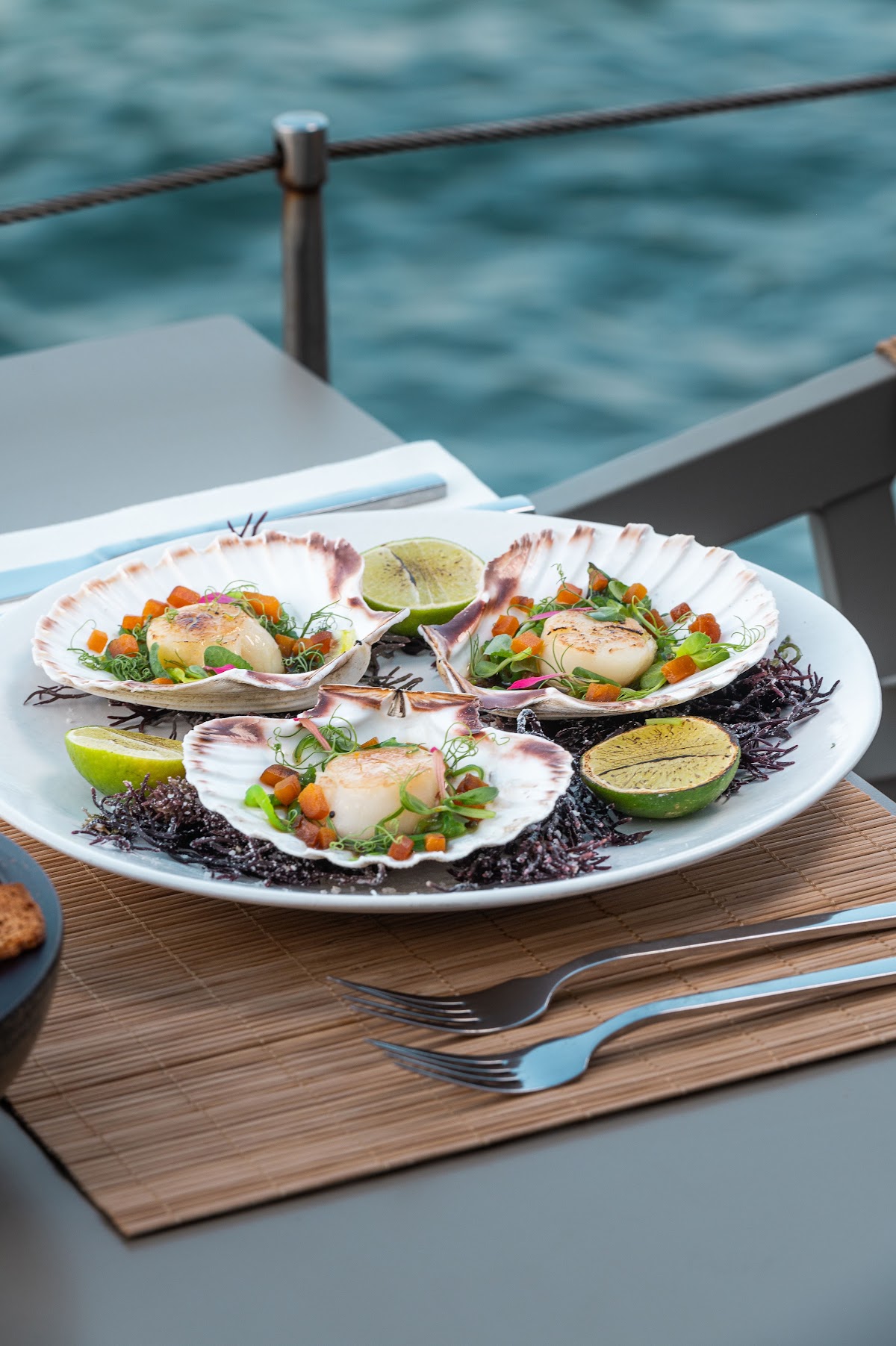 H2O all day bar - restaurant