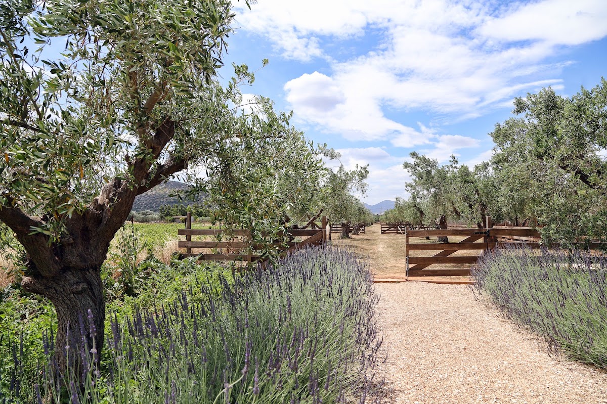 Margi Farm