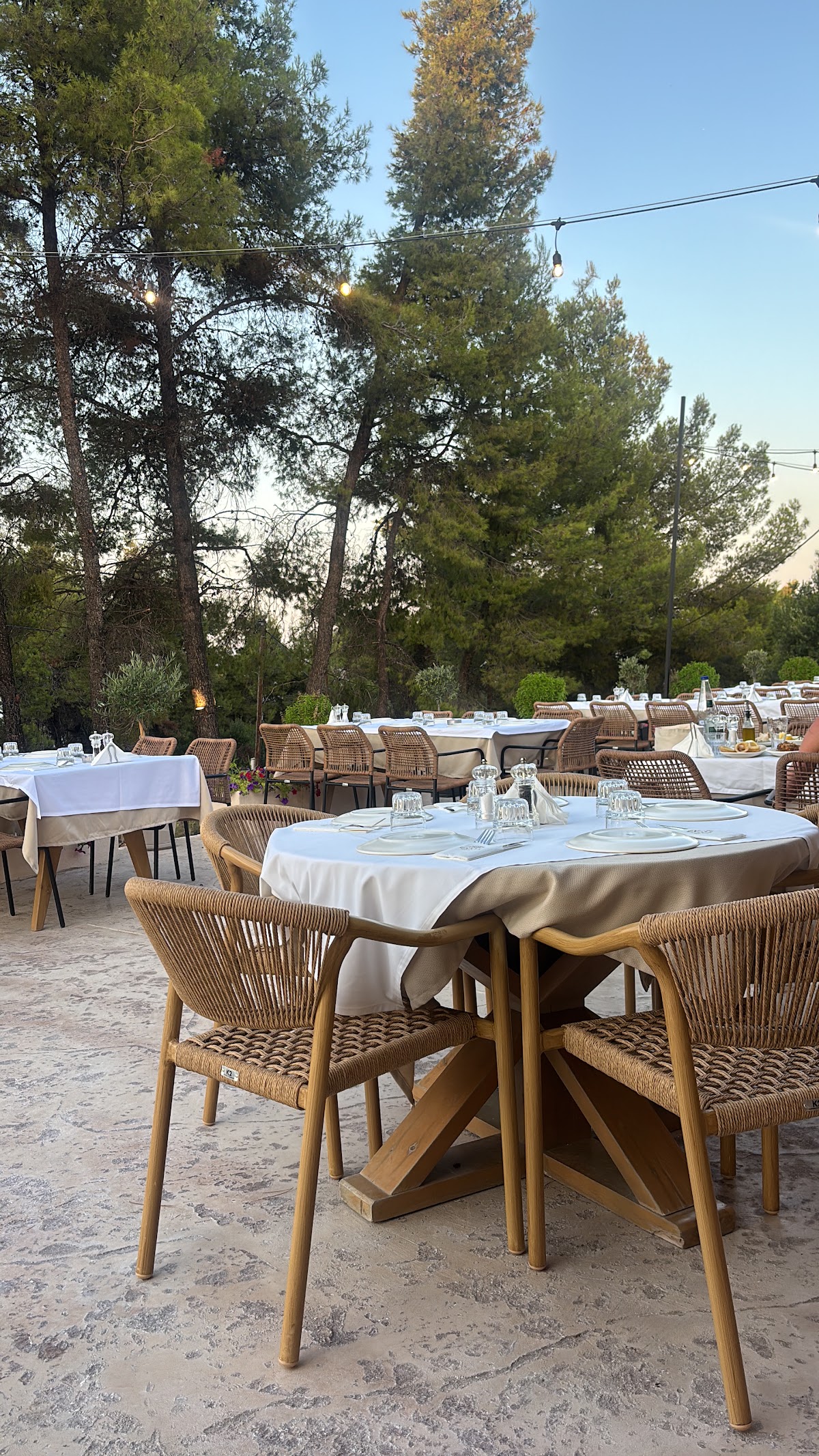 Taverna Ellas Kallithea
