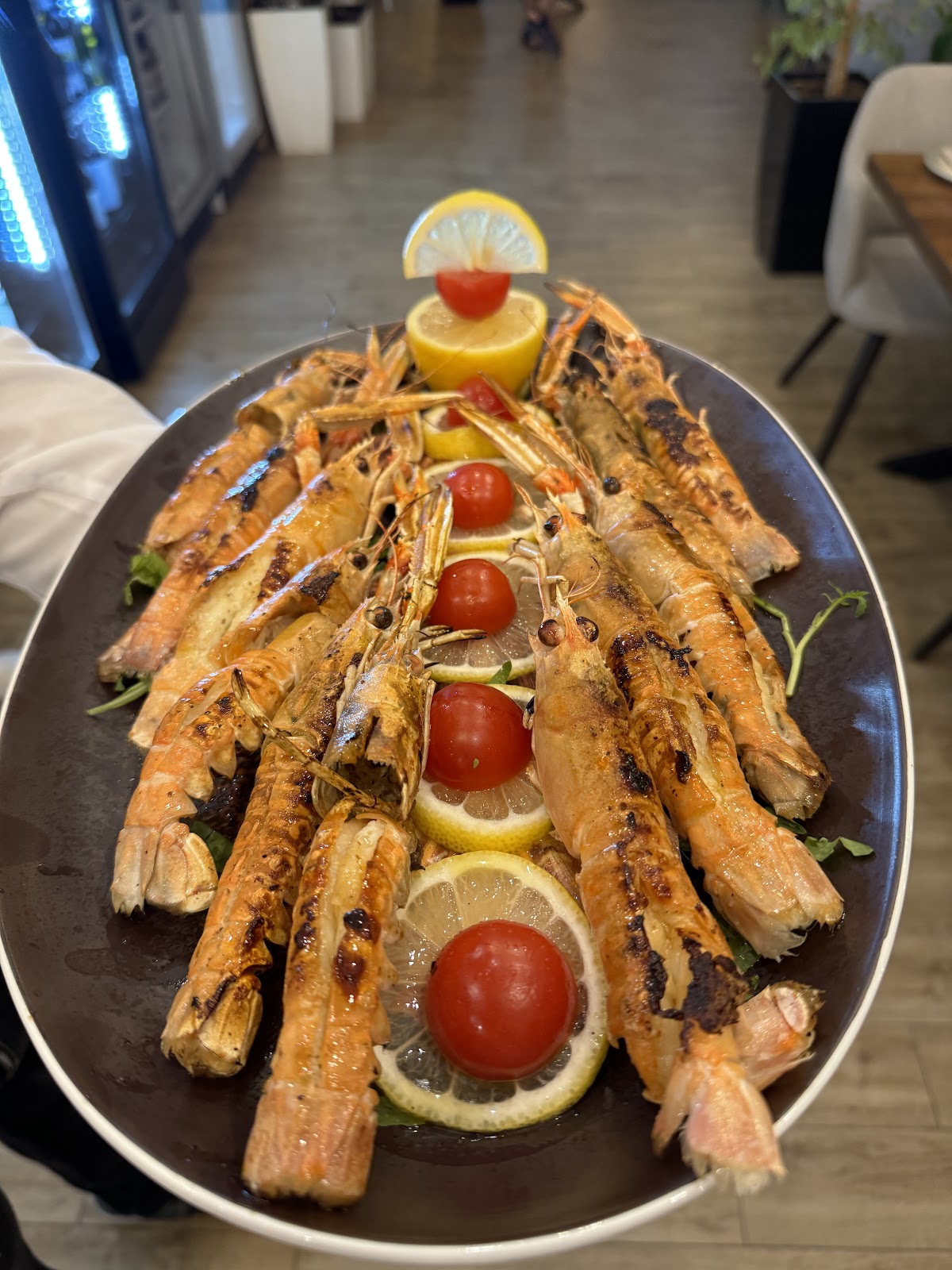 Fish Land