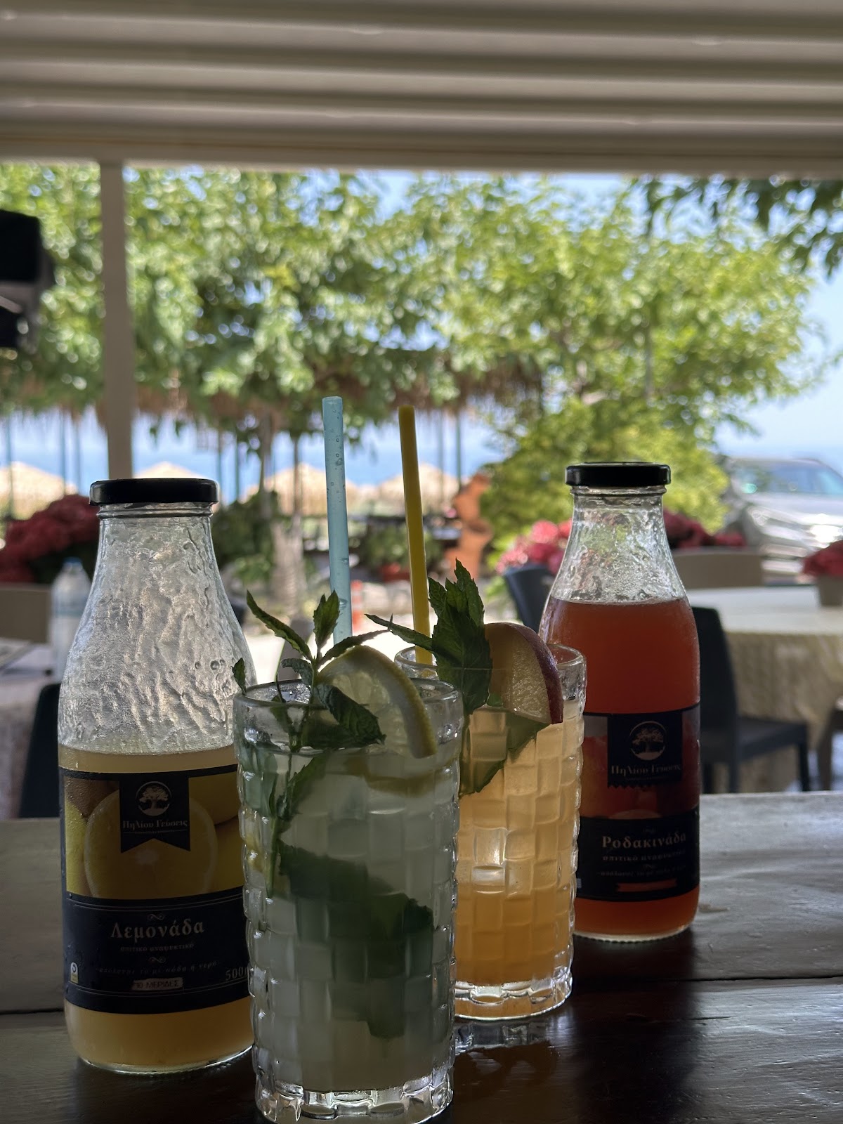 Aristos Café Restaurant Pelion
