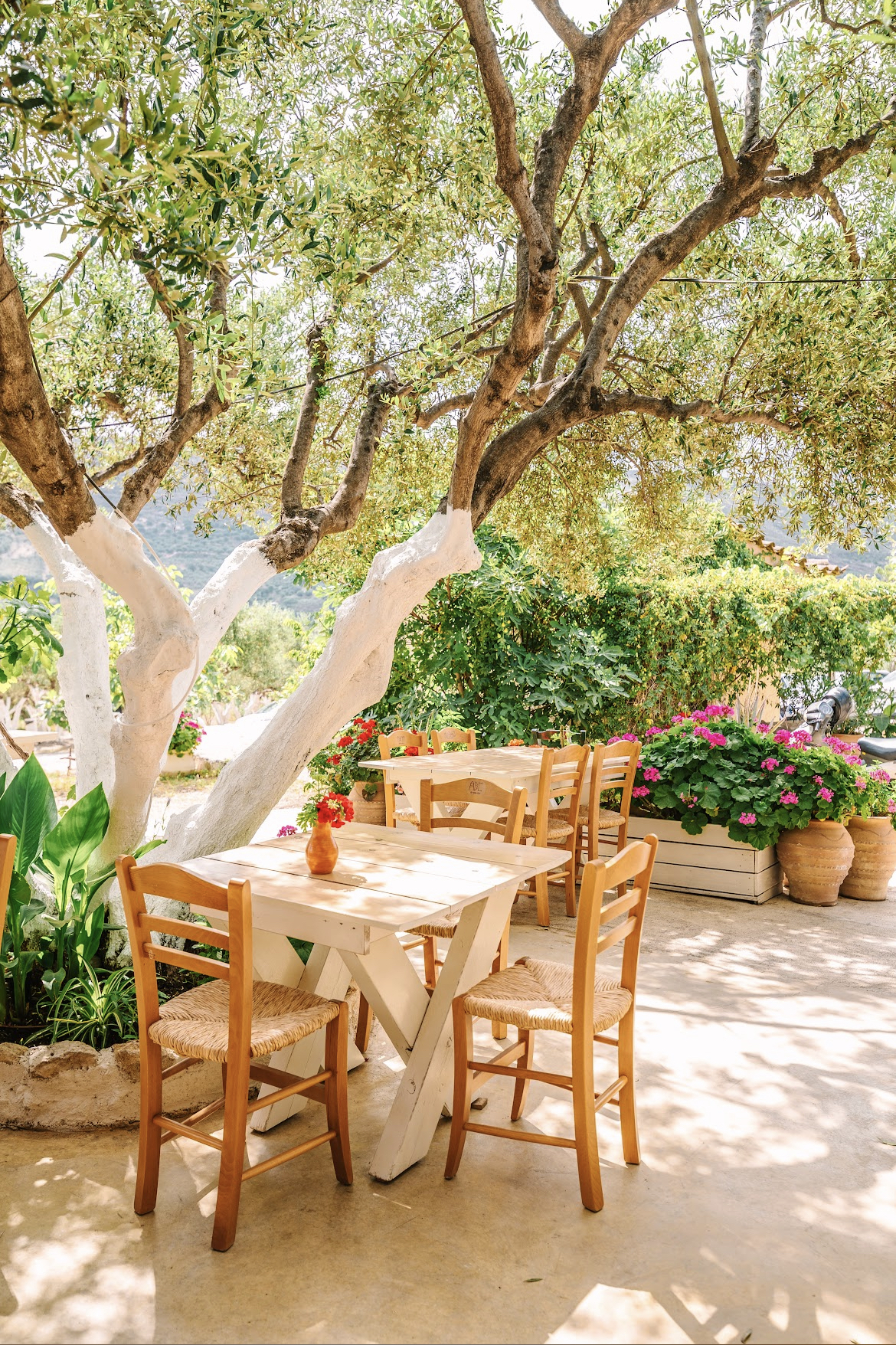 Pasiphae Restaurant