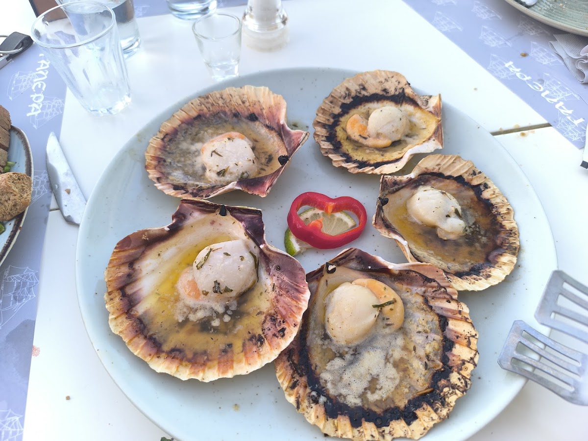 Taverna Galera