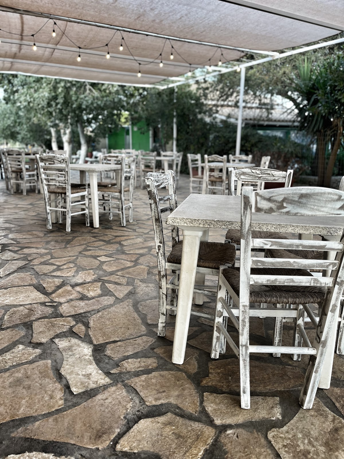 FAMILY TAVERNA GERAKAS